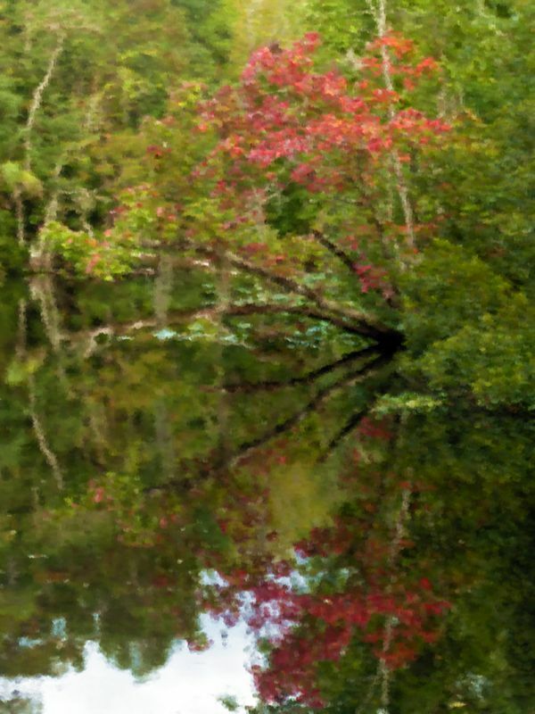 Click to See Next Image